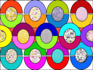 Colorful Oval Pattern Puzzle