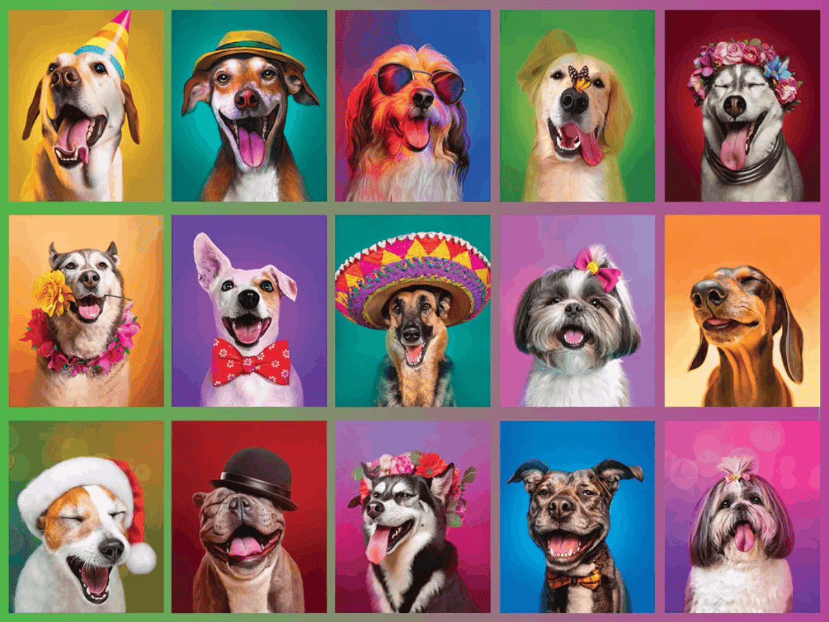 Dogs