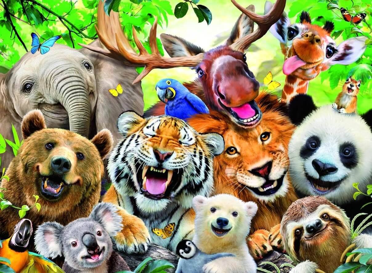 Wild Animals