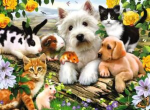 Happy Animal Buddies