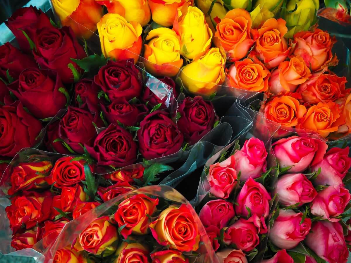 Flowers