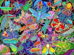 Insects Garden