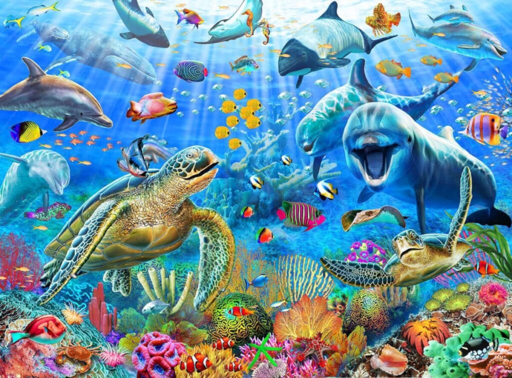 Ocean Adventure
