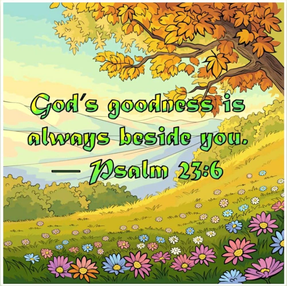 Peaceful Promise