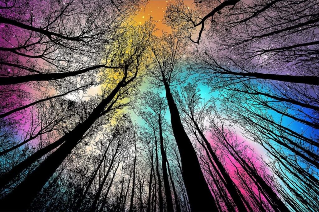 Gradient Magic