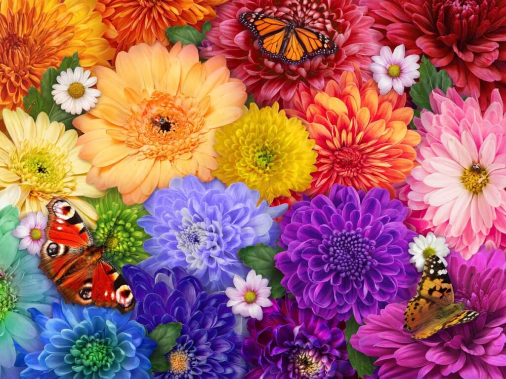 Flower Spectrum