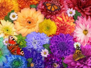 Flower Spectrum