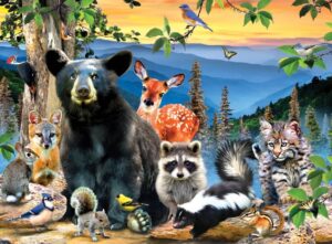 Wildlife of Great Smoky Mountains National Park