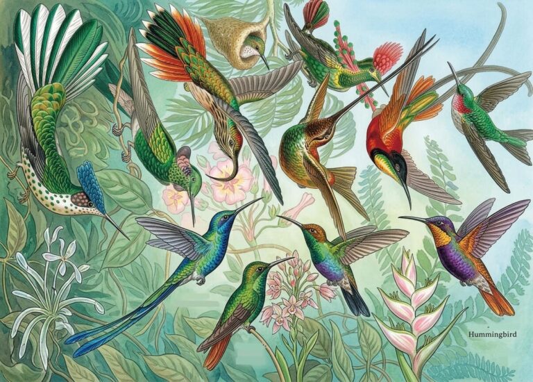 Vibrant Colorful Hummingbirds