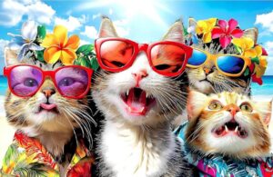 Cat Beach Selfie Summer