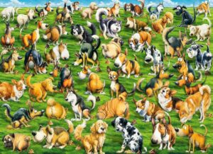 Funny Dogs Pooping