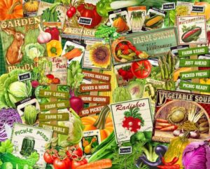 Your Veggies – Garden Collage