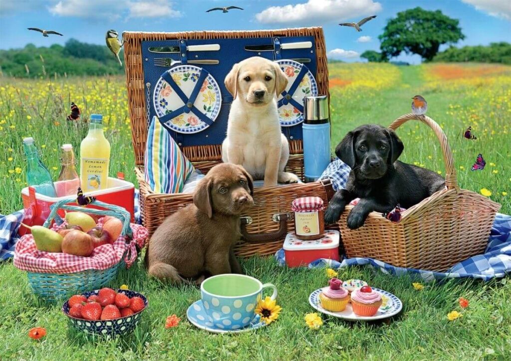 Puppy Park Picnic