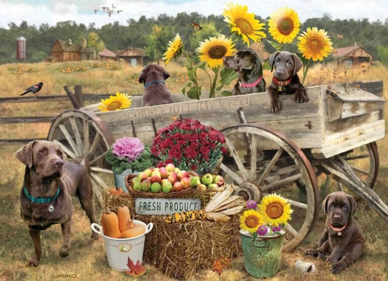 The Sweet Choc-Wagon