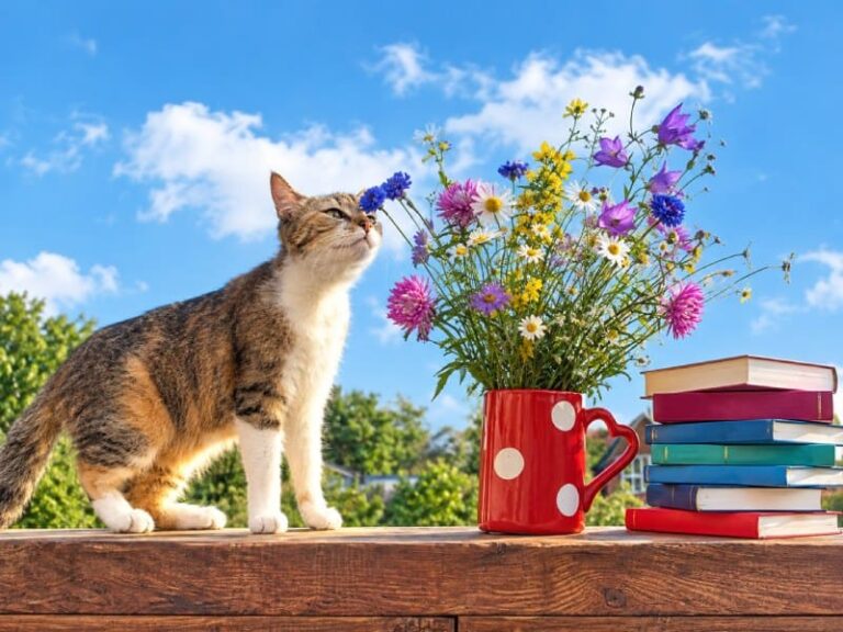 Cat Among Colorful Flowers and Books
