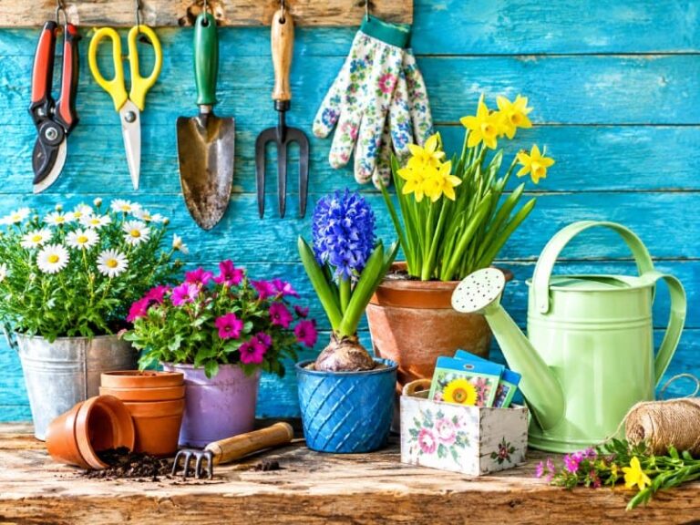 Colorful Gardening Tools