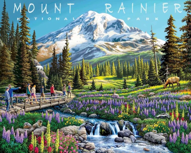 Mount Rainer National Park