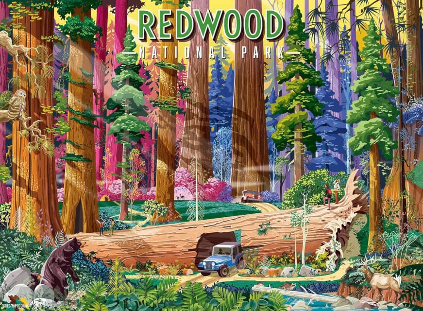Redwood National Park
