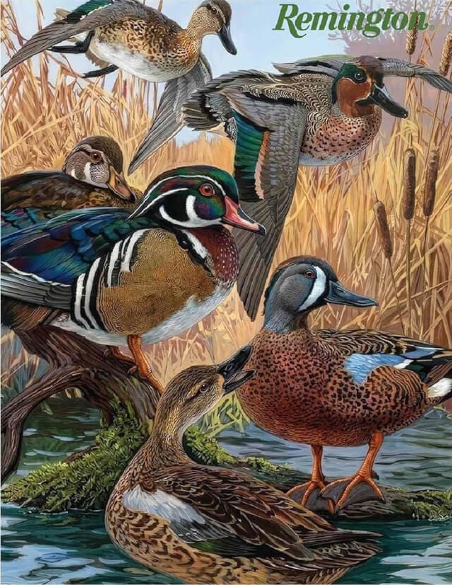 Remington Ducks